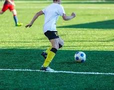 推荐,星露谷物语,高效农场布,爱游戏app,爱游戏官网,爱游戏体育官网,爱游戏体育app