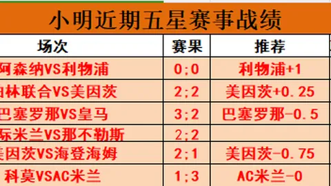 帕雷德斯展望罗马新篇章：德罗西欣喜看到16号球衣身影
